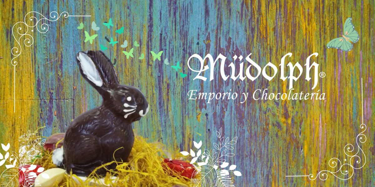 x 3bannermudolphconejo20236118